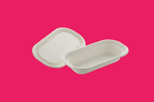 OVAL (500ML) FOOD CONTAINER & LID
